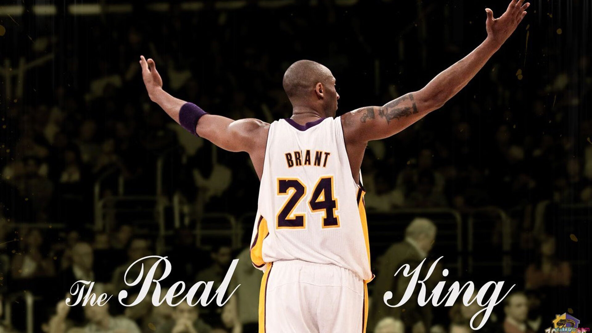 范戴克一夫当关，那不勒斯战术碾压莱比锡红牛